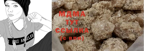 индика Надым