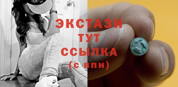 индика Надым