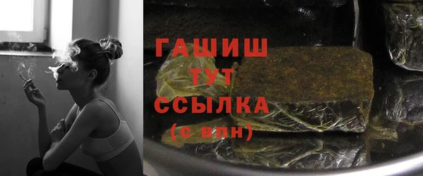 индика Надым