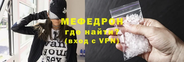 индика Надым