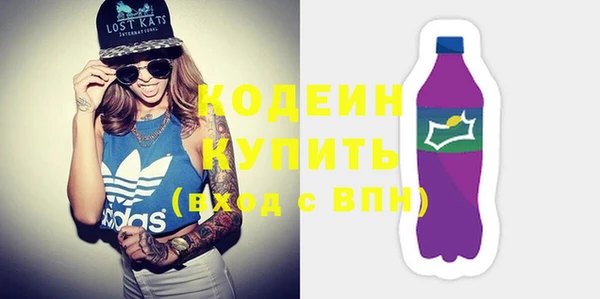 индика Надым