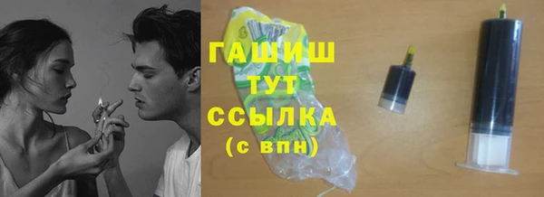 индика Надым