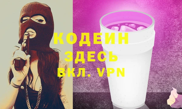 индика Надым
