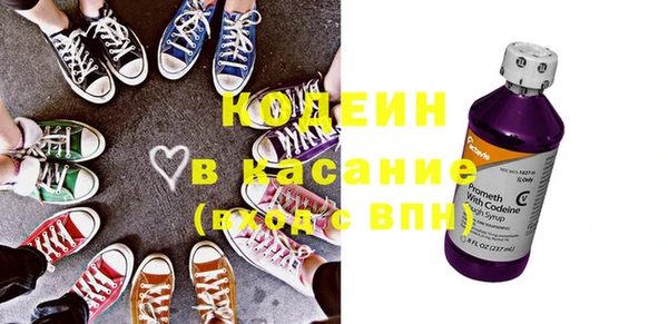 индика Надым