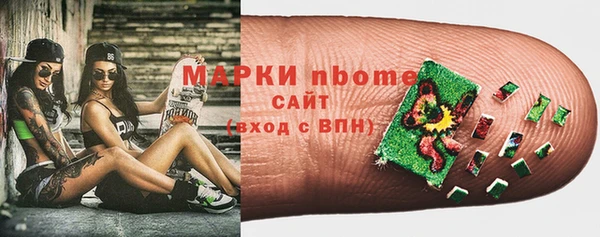 индика Надым