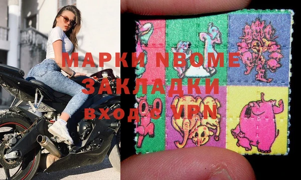 индика Надым
