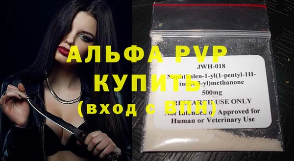 индика Надым