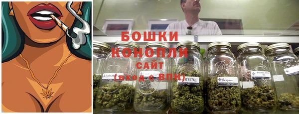индика Надым