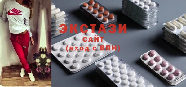 индика Надым