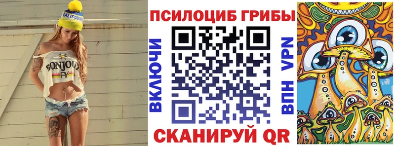 Псилоцибиновые грибы Cubensis  Агрыз 